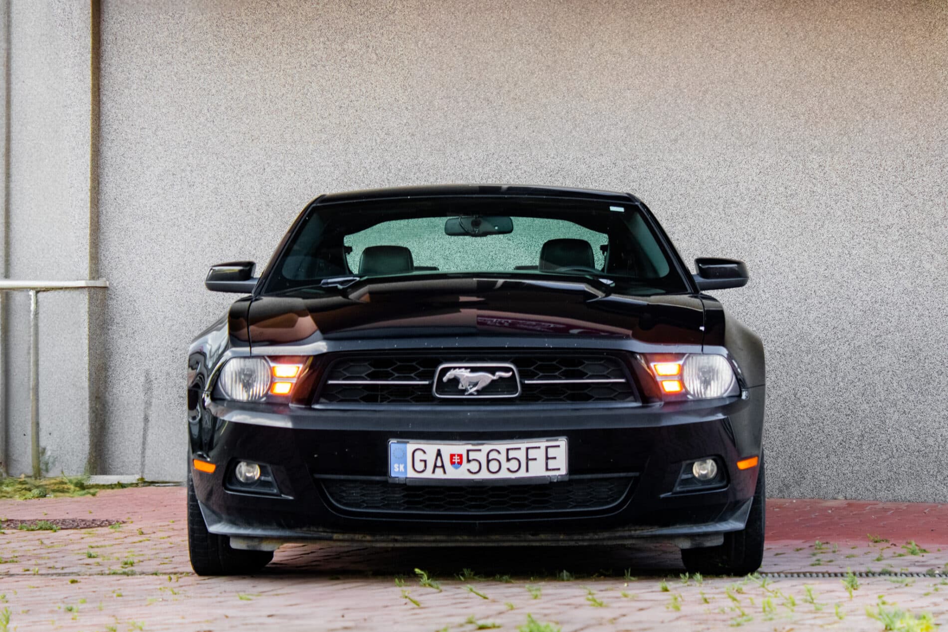 2010 Ford Mustang