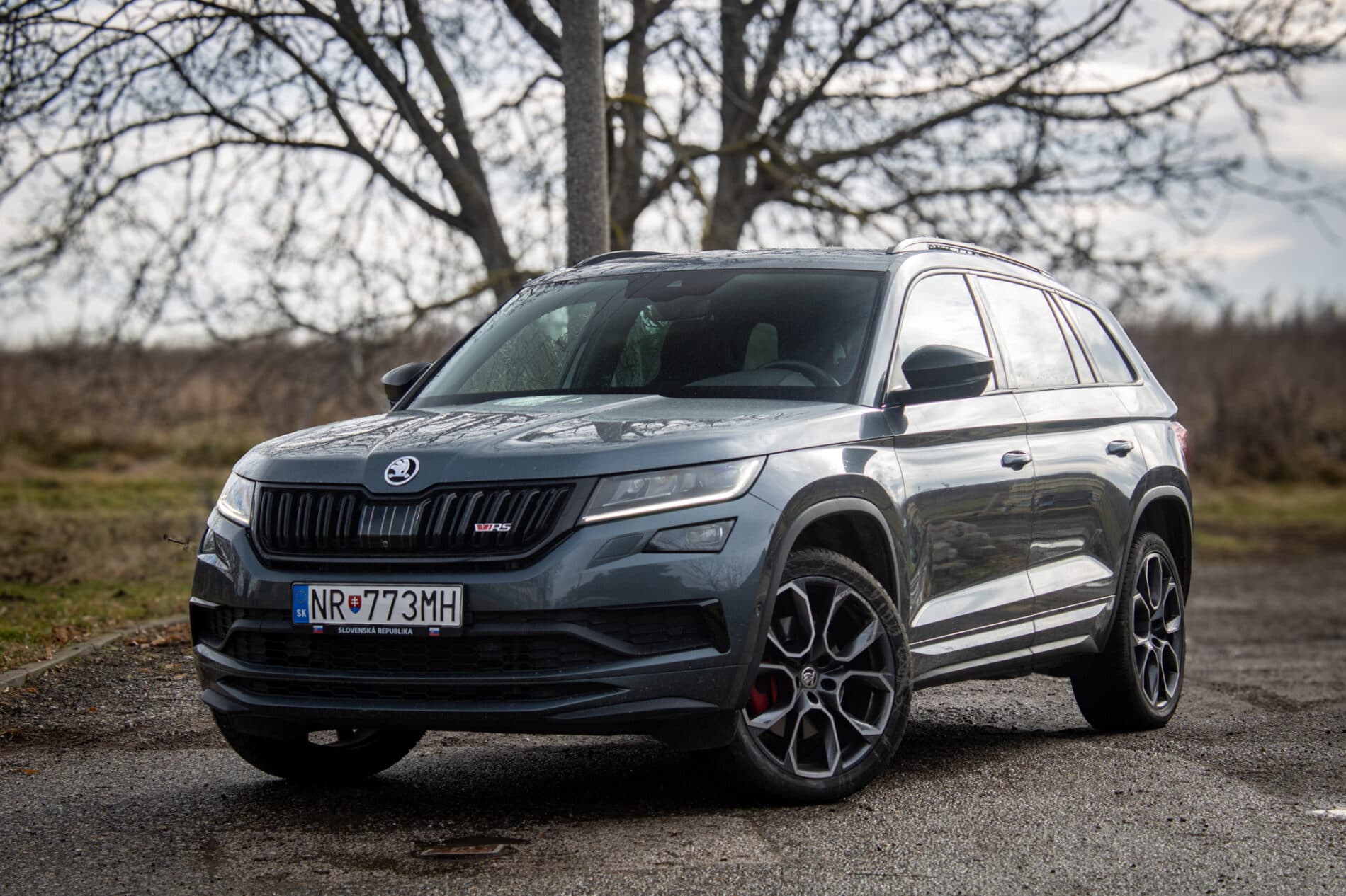 2019 Skoda Kodiaq RS