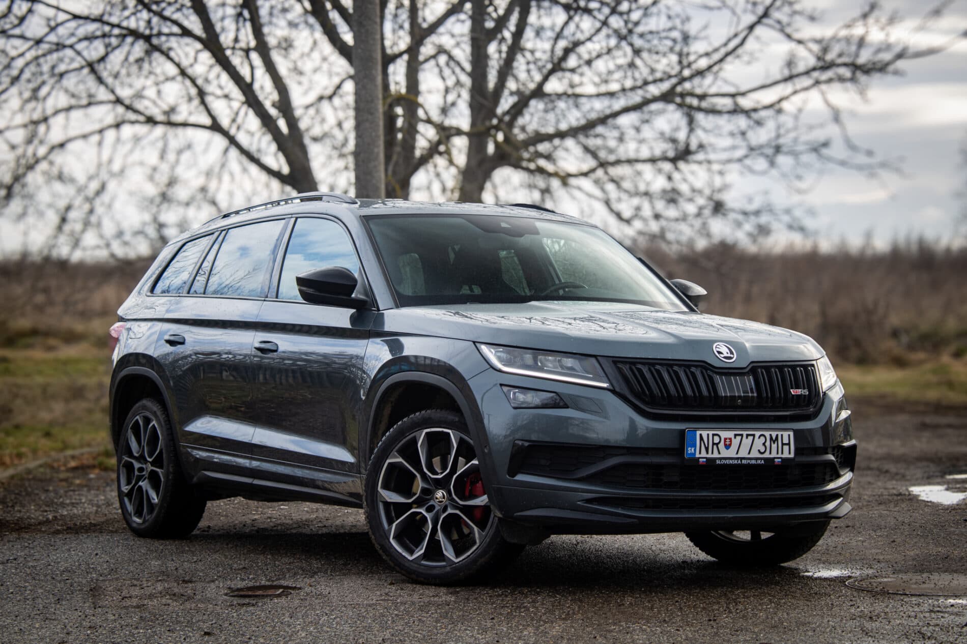 2019 Skoda Kodiaq RS, sivá suv, 156 069 km