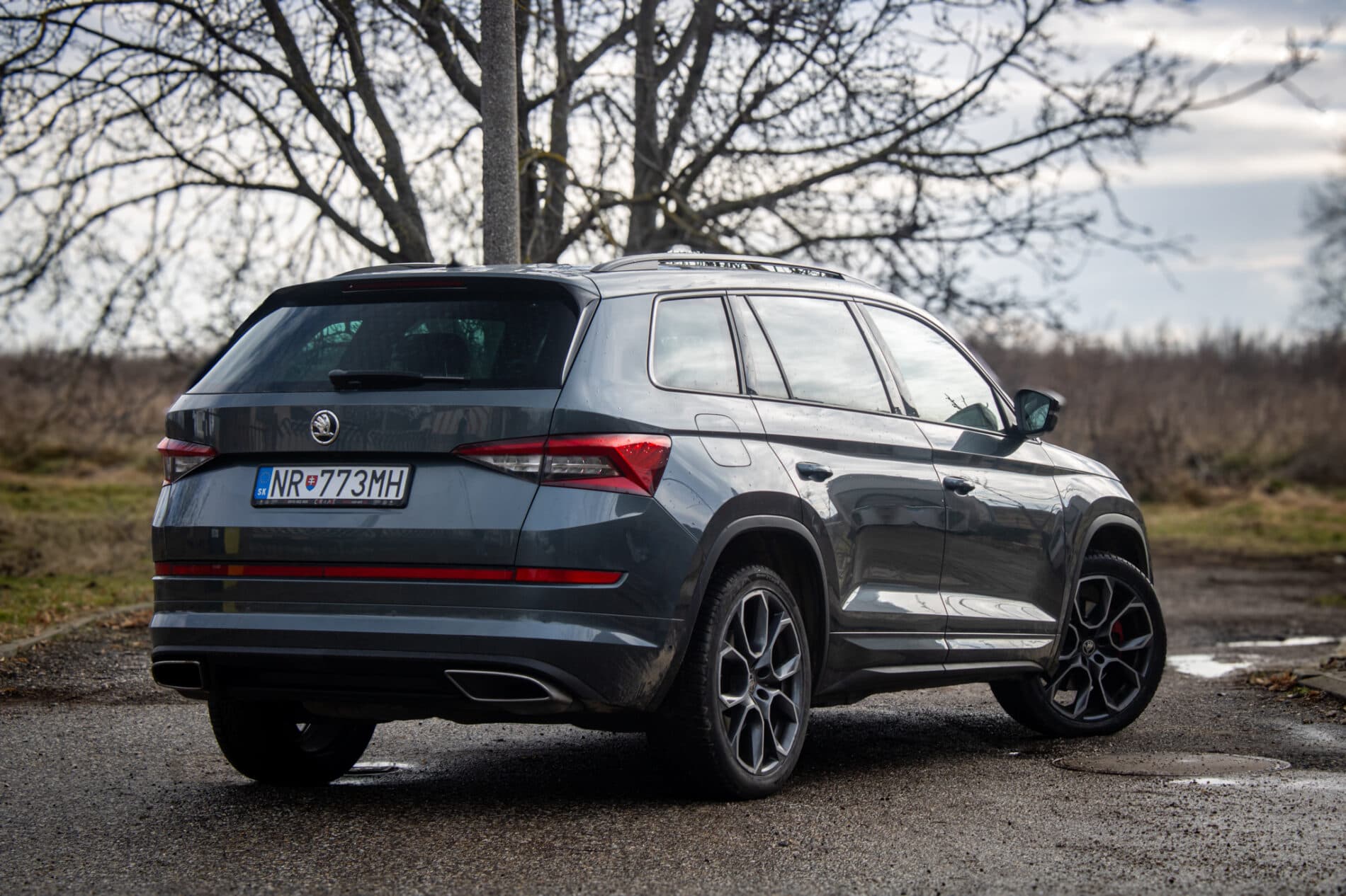 2019 Skoda Kodiaq RS, sivá suv, 156 069 km