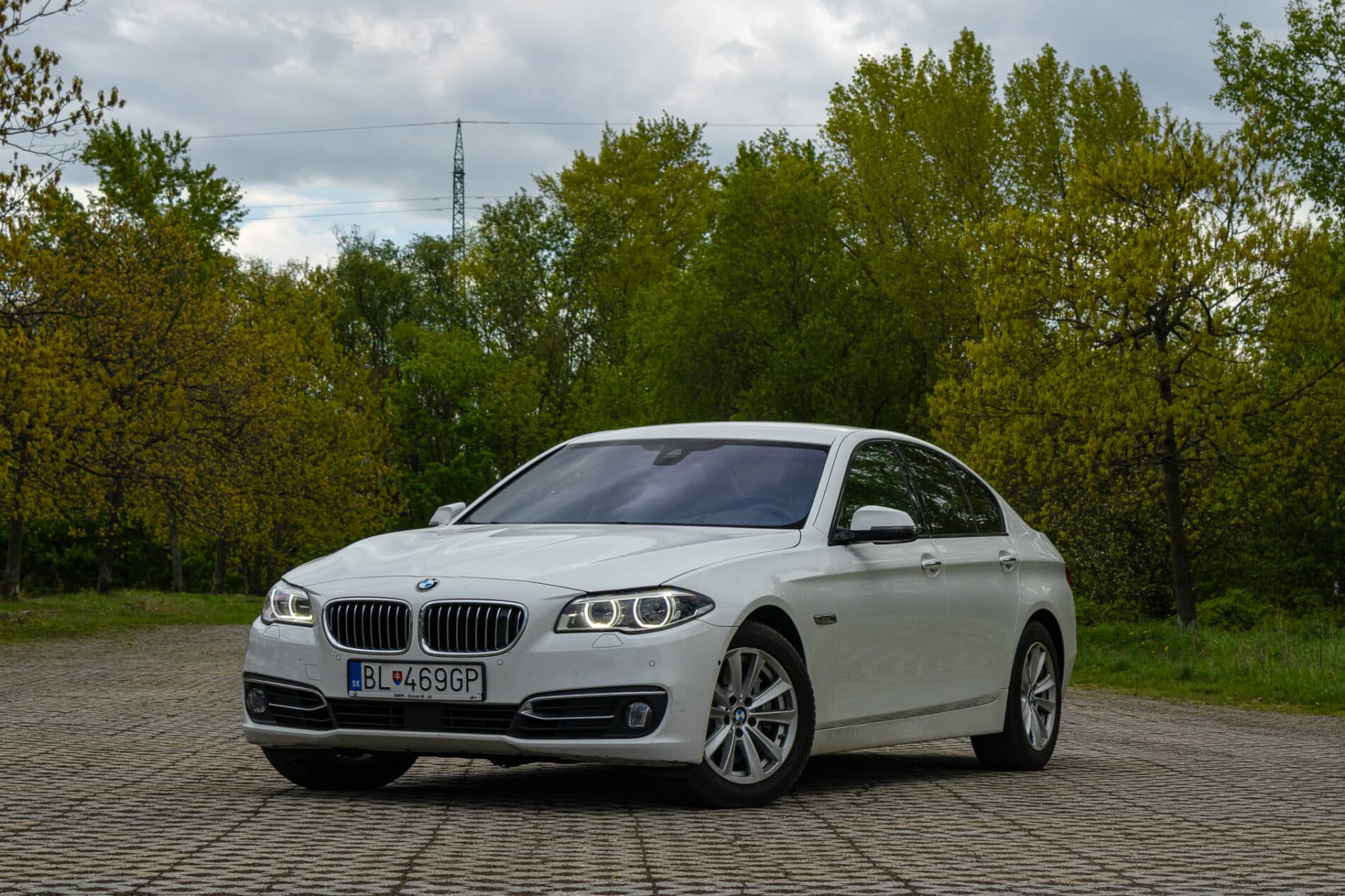 2013 BMW 530d